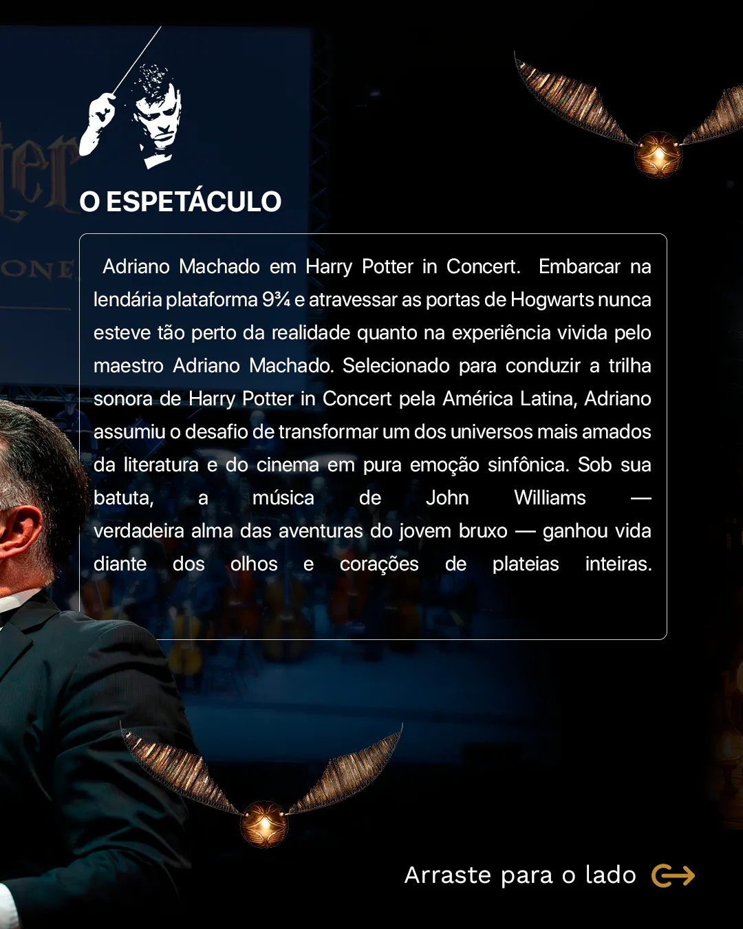 Arte 2 do carrossel Harry Potter in Concert